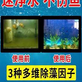 鱼缸除藻去苔剂去蓝青苔鱼池除褐藻绿藻清除剂水草鱼除藻批发