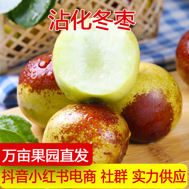 Shaanxi Dali winter dates Zhanhua winter dates fresh fruit seasonal jujube crispy sweet fresh dates crisp sweet one piece direct shipping