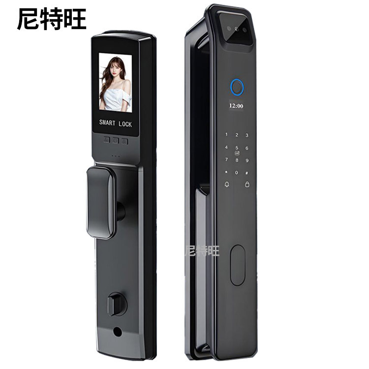 Cerradura automática de huellas dactilares puerta antirrobo doméstica cerradura inteligente de identificación facial cerradura de puerta graffiti cerradura electrónica visual ojo de gato