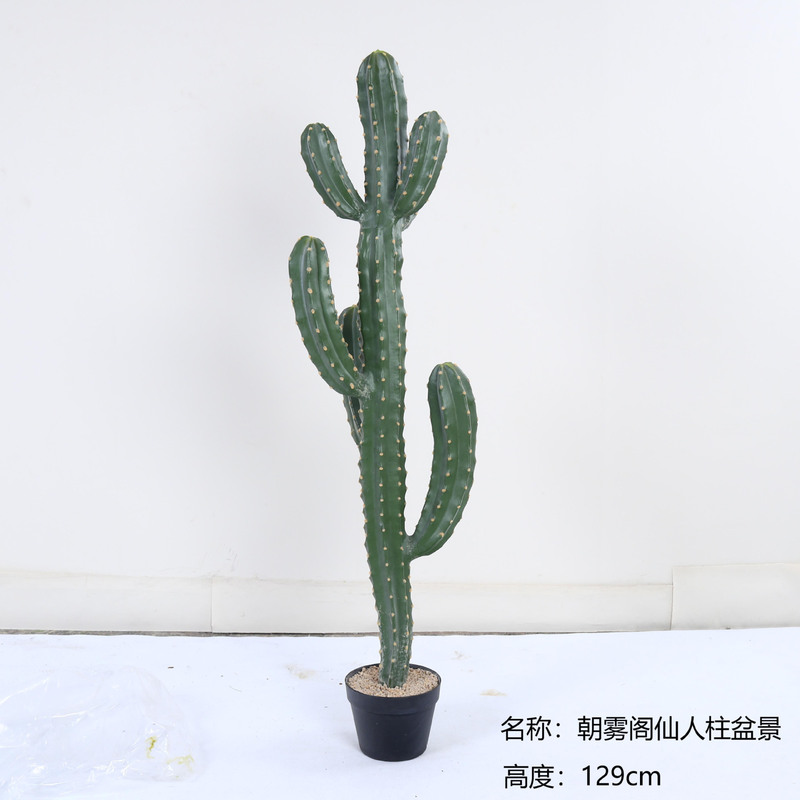 仿真龙神柱仙人掌寄生仙人球摩洛哥沙生植物造景软装样板工程装饰|undefined