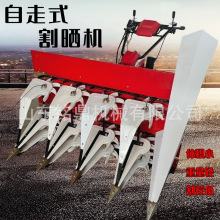 Сַɹ๦ܲ͸ݻСոɹһ