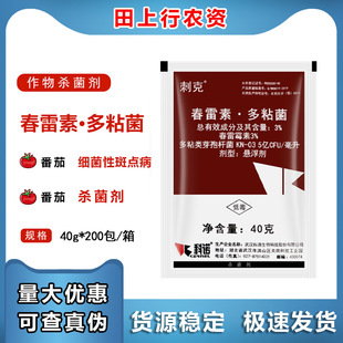 �̿� ����ù�ض�ճ��ѿ�ߗU�� �������� �V�V�����rș������40g