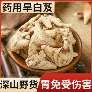 ��ܸ��Ʒ�׼���Ş��500�� ��ș���F����ș���溵��ܸ��Ƭ�Bθ���]