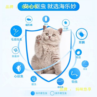 ����һ�w�w���h�x���x����؈șƷ��x؈����xș����؈�������؈