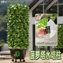 ˮ�F����ˮ��ˮ���C���o�������O��Nֲ���Ҵ����̨�N�˼҉�����