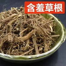 ��ș�� ���߸� ֪�߲ݹ� ���߲ݸ� ���߲ݸ� ֧��ș�z ��ĥ��