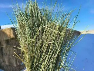 �V�|�V�������V�����l�����|�����ţ����ţ�R����������R����