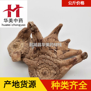 ��ܸ��1000���A����ș�����l�F؛���������ܸ����؛����ă�