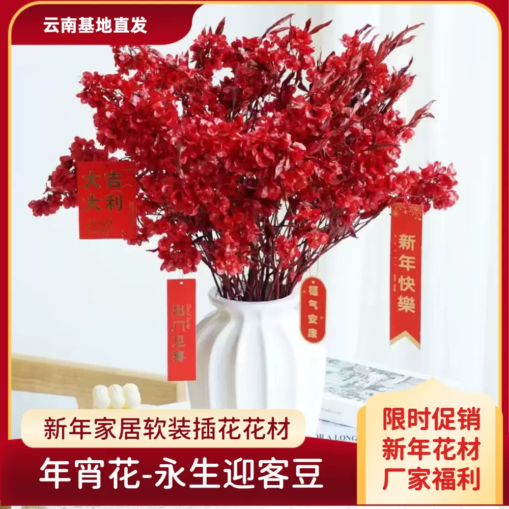 迎客豆蝴蝶花干花花束感真花客厅春节新年装饰摆件红色婚庆永生花