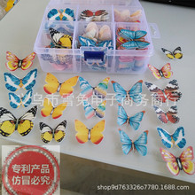 羳Ŵ׼ӡŴ׺Ŵ׷濨bŴС決b