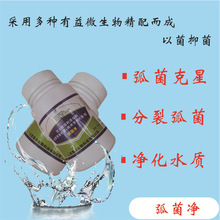 �ݲݵ���΢�����Ƅ�ˮ�a�Ĵ���~С���r�����׌��r�з�Bֳ������