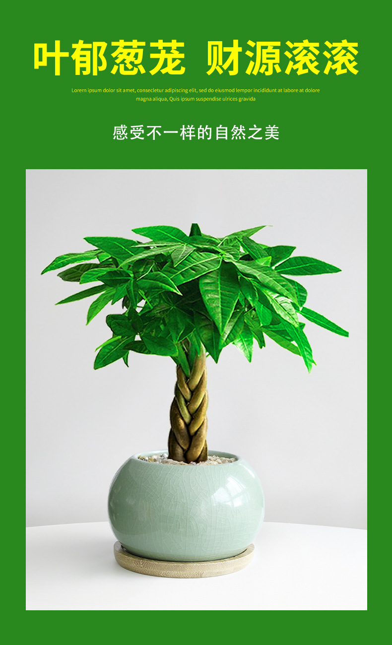 详情图