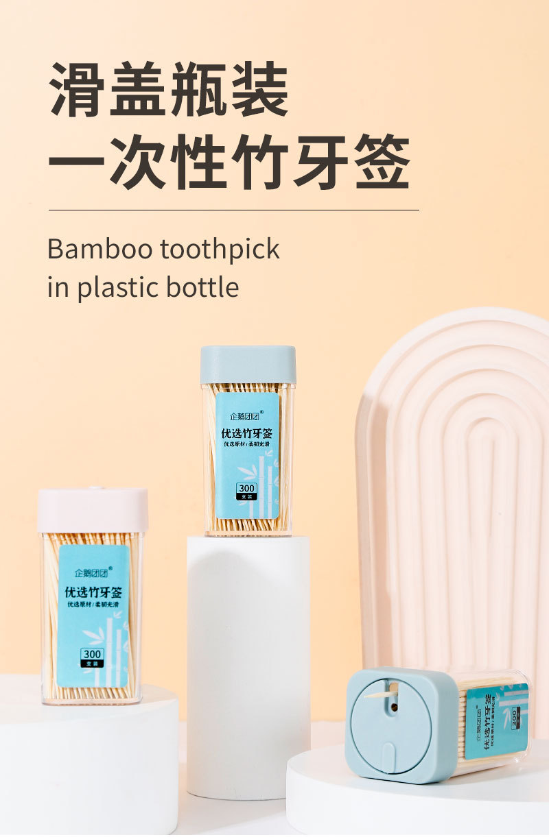 新款竹牙签组合装_01