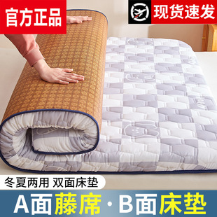 Tatami Summer Ice Silk Mat Mat Cushion Student Dormitory Single Dual-Use Folding Rental House Mat