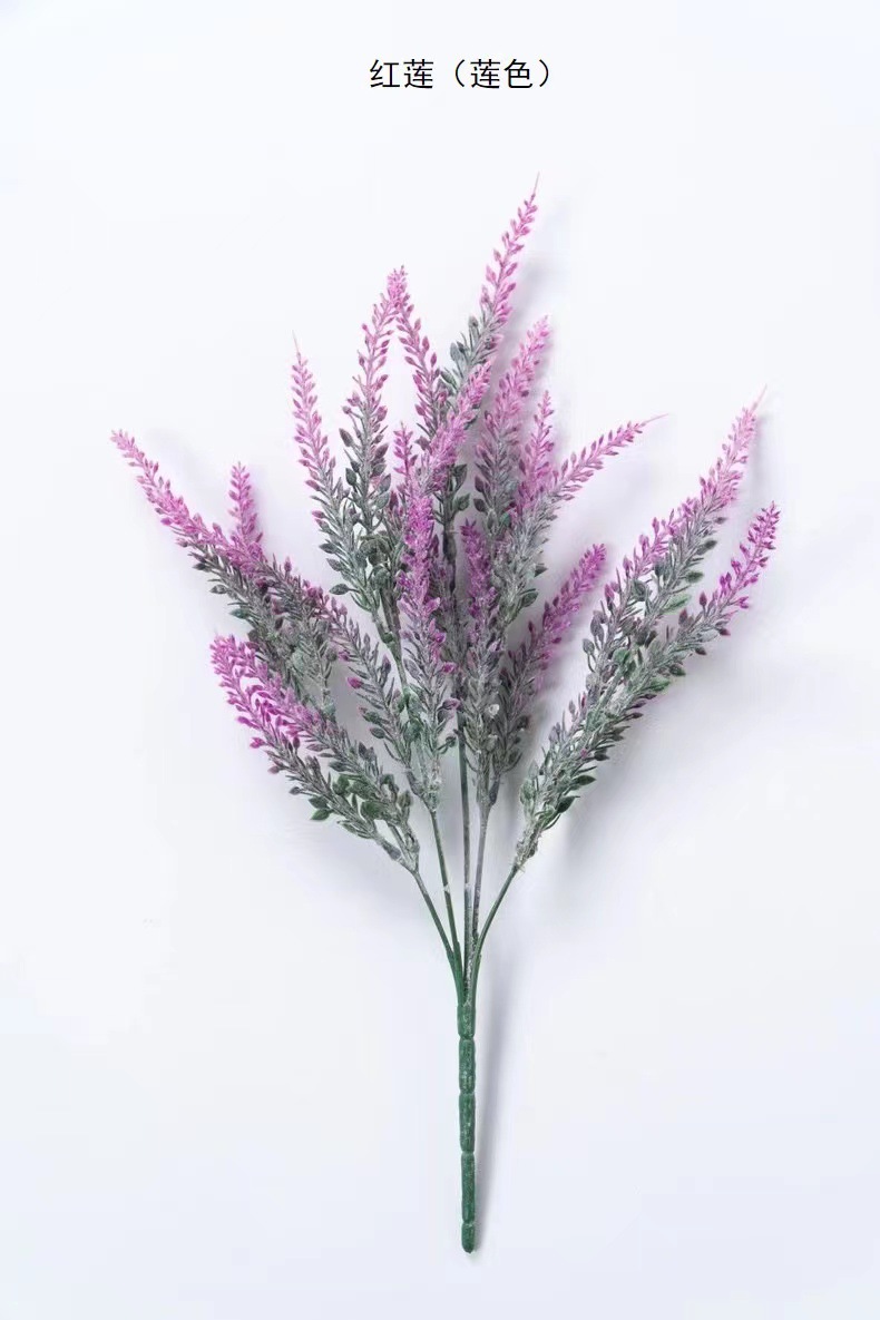 몰려 드는 라벤더 레드 로터스]