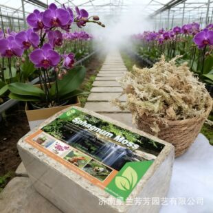 �����m����ˮ̦�Nֲ���|�����M��ëë�x�Q��ֲ���B���ٻ����l̦�\