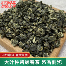 大叶种碧螺春2023新茶绿茶散装袋装茶叶春茶明前高山苏州产500g