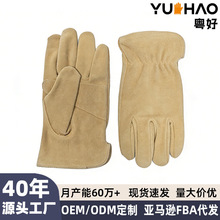 ţƤɫIڱיCе܇g\Tĥ˺