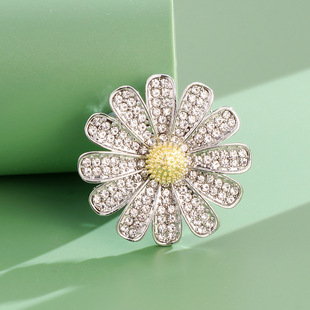 �¿�Ժ��sˮ��r����� ������Ůʿ����ػ�  �r�Є���e�