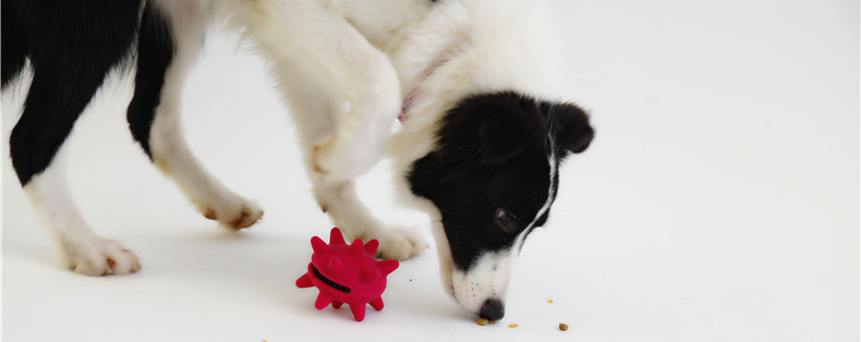 O1CN01dyxCpw27HdAikjPSe_!!962497772-0-cib.jpg?__r__=1713344844908