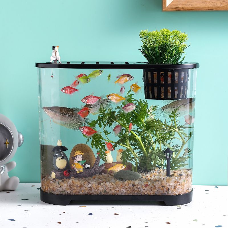 魚缸高清透明塑料鱼缸家用客厅小型仿玻璃造景生态办公室乌龟代发