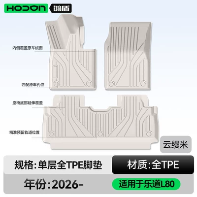Interior Floor Mats Modification Accessories – Modelə uyğun ayaqaltı - ledao-l80-26-models-five-seats-single-layer-floor-mat-yunmanmi-tpe-economical-and-ordinary-style