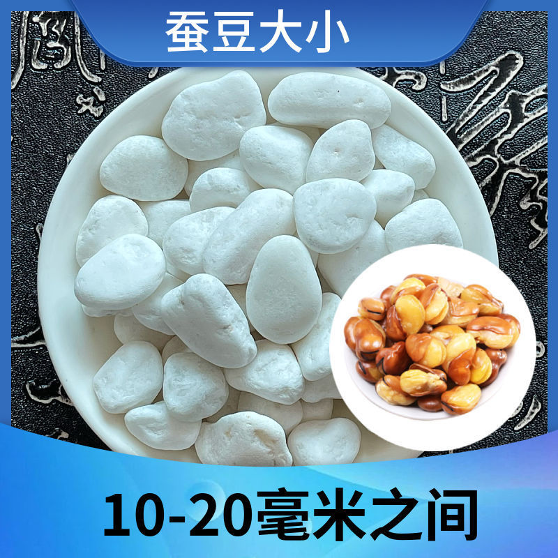 瑞景石水栽培花、小さな白い石、多肉植物舗装石、小石、雨花石、水槽造園鉢植え工場|undefined
