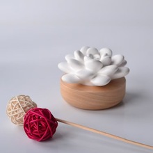 Դ^Sմ޹Փ]l⾫СҾ܇d޹[