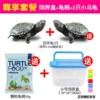 Rabbing box package+2 turtles 2+20g of turtle food