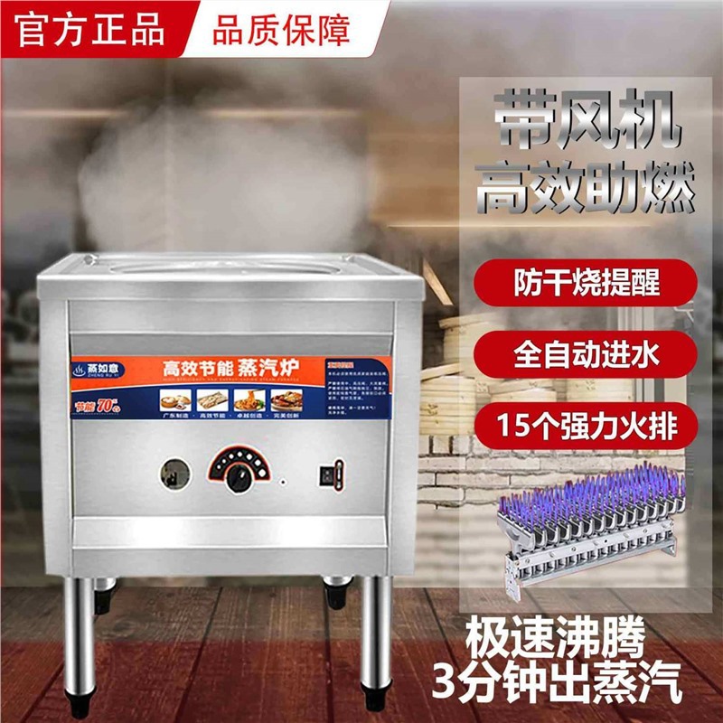 horno de vapor de paquete de tubo cuadrado con ventilador, horno de vapor de paquete de jaula de paquete de vapor de paquete de vapor de gas eléctrico y ahorro de energía de alta eficiencia