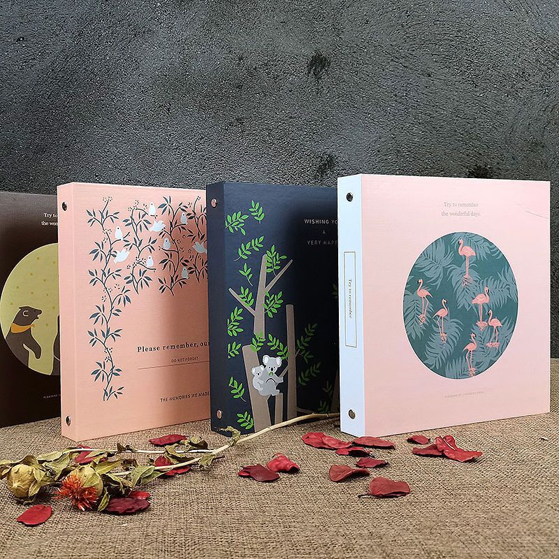 식물 표본 말린 꽃 양각 잎 컬렉션 및 저장 책 학생 DIY 필름 라미네이팅 스틱 앨범 원피스 도매