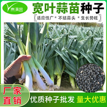 �ļ���Ҷ��������һ���ļ������������պ�Ƥ������ũ�Ҵ����߲���