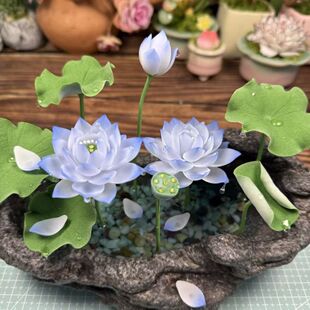 ˮ����ɏ�N�����ļ�˯ɏ�ɻ�ˮ�Bֲ��Nź���B�����~�X�ݲ��ѷN��