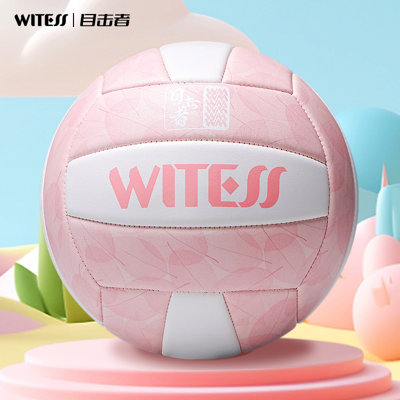 Witess Witness No. 5 Volleyball High School Entrance Examination Competition Training Special Machine-Sewn Wear-Resistant High-Elastic Middle School Student Beach Batch