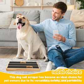 狗狗磨爪器抓板宠物喂食器分格式狗狗零食盒宠物狗狗猫咪指甲锉板