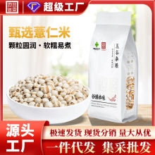 �m�����x޲����500g�������s�Z�I�B�����F؛�r���Ԯa�ּZ����