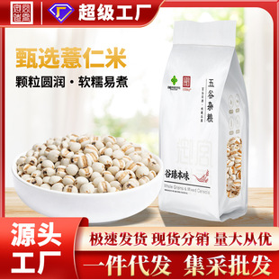 �m�����x޲����500g�������s�Z�I�B�����F؛�r���Ԯa�ּZ����