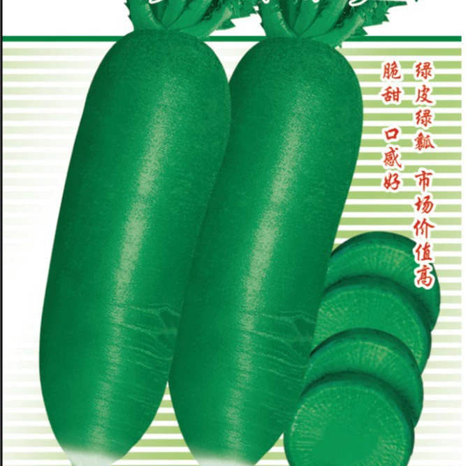 Wholesale Savoy Fruit Radish Seeds Summer Four Seasons Vegetable Seeds