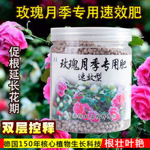 玫瑰花专用肥料 玫瑰花专用肥料品牌 图片 价格 玫瑰花专用肥料批发 阿里巴巴 玫瑰花专用肥料 玫瑰花专用肥料品牌 图片 价格 玫瑰花专用肥料批发 阿里巴巴