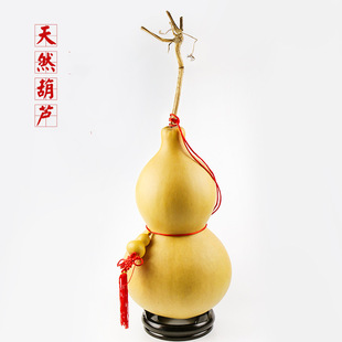 Natural Gourd Pendant Large Ornament Wild Gourd with Dragon Head Small Gourd with Vine Home Decoration Real Gourd