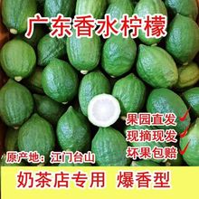 �V�|��ˮ���� ���T̨ɽ�a��ֱ�l �ִ򱩴��ʲ茣�� ���r����