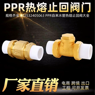 ppr黄铜止回阀202532405063活接单向阀PPR水管热熔立式卧式止回阀