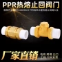 卧式立式热熔ppr止回阀