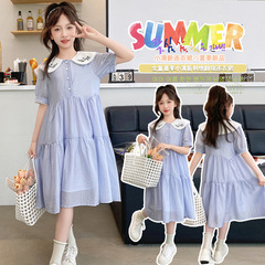 女童高級連衣裙兒童夏裝女孩洋氣裙子大童公主裙童裝夏季2024新款