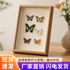 木製中空立体フォトフレーム本物の蝶標本フレーム diy 手作り昆虫植物不滅の標本額縁装飾品