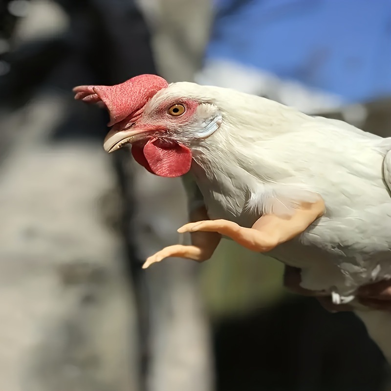 814312f823779a3f55b50ff9e11a02