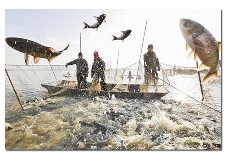 c44bc231-6a33-4c9a-9ef2-aa5f7f6beaa6.jpg?x-oss-process=image/format,png