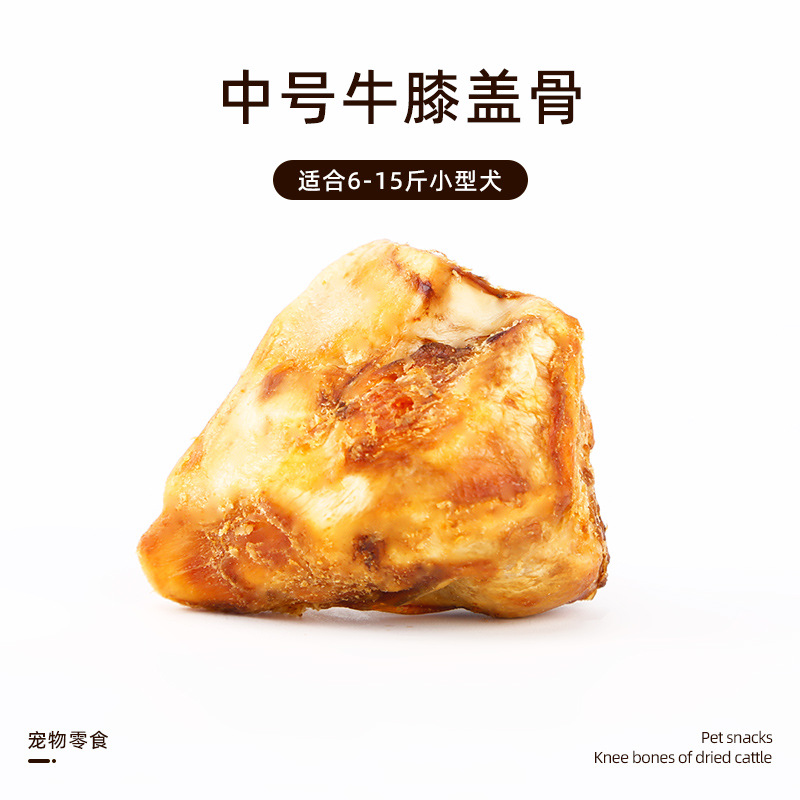 소 슬개골【M】