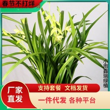 һ�����l�m����ԭ��ԭ���ļ��������Ԏ��������F���m���B�m�ݝ���