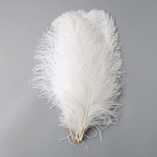 ?�S�Ҵ����F؛45-50cm��ɫ����ë�r�Bë������c�b��r�B��ë��